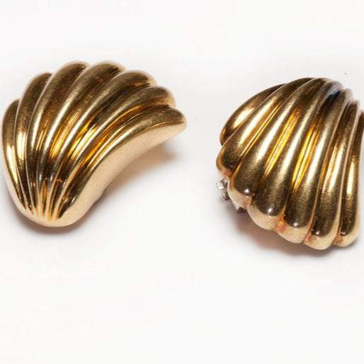 Goldene Muschel-Ohrringe